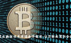 新加坡区块链项目申请条件解析：让你轻松驾驭