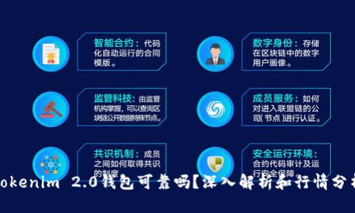 Tokenim 2.0钱包可靠吗？深入解析和行情分析