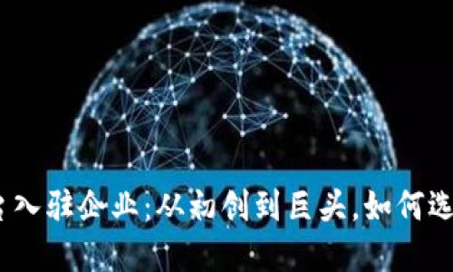 : 揭秘区块链平台入驻企业：从初创到巨头，如何选择适合你的项目？