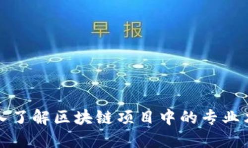 深入了解区块链项目中的专业术语