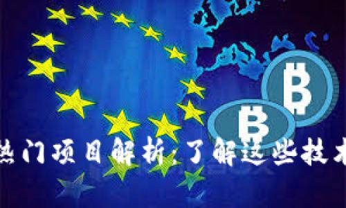 去中心化区块链最新热门项目解析：了解这些技术为您的投资保驾护航