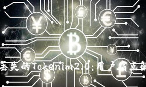 如何找回丢失的Tokenim2.0：用户痛点解决全解析