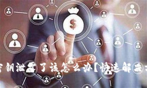 TokenIM 2.0密钥泄露了该怎么办？快速解决方案与安全建议