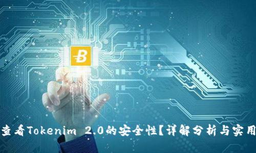 如何查看Tokenim 2.0的安全性？详解分析与实用建议