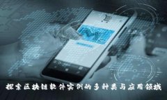 探索区块链软件实例的多种类与应用领域