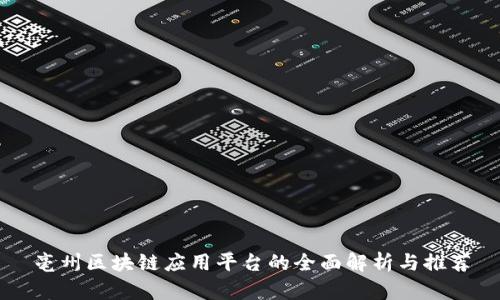 亳州区块链应用平台的全面解析与推荐