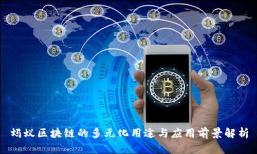 蚂蚁区块链的多元化用途与应用前景解析