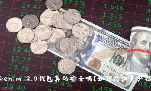Tokenim 2.0钱包真的安全吗？如何防止资产损失