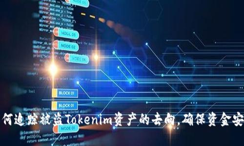 如何追踪被盗Tokenim资产的去向，确保资金安全
