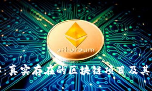 深入了解：真实存在的区块链项目及其应用场景