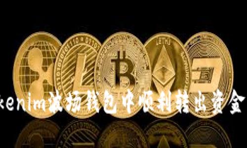 如何在Tokenim波场钱包中顺利转出资金？详细指南