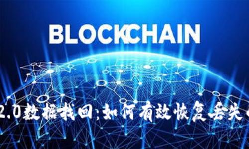 Tokenim 2.0数据找回：如何有效恢复丢失的数字资产