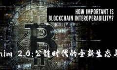 探寻Tokenim 2.0：公链时代的全新生态与解决方案