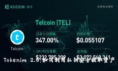 Tokenim 2.0：如何利用私钥安全提取资产
