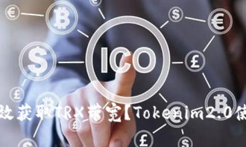 如何高效获取TRX带宽？Tokenim2.0使用指南
