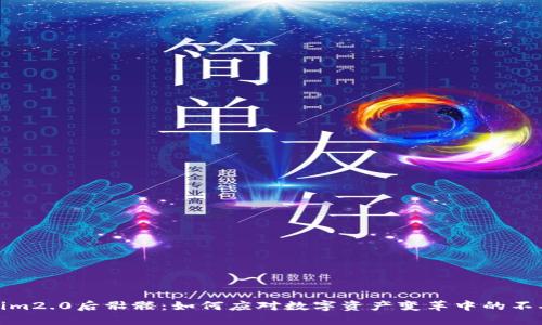 Tokenim2.0后骷髅：如何应对数字资产变革中的不确定性