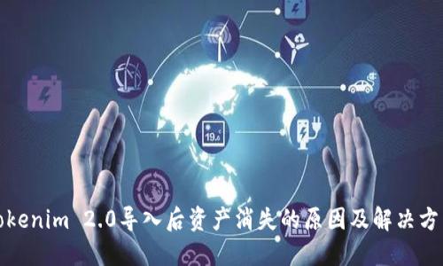 Tokenim 2.0导入后资产消失的原因及解决方法