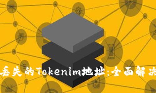 如何找回丢失的Tokenim地址：全面解决你的痛点