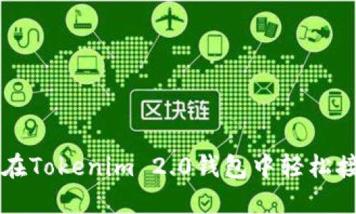 如何在Tokenim 2.0钱包中轻松接受币