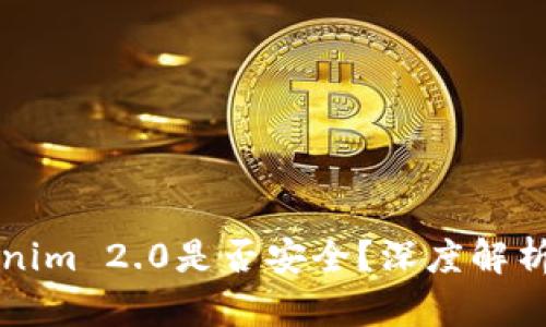 老版本Tokenim 2.0是否安全？深度解析与风险评估