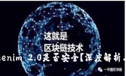 老版本Tokenim 2.0是否安全？深度解析与风险评估