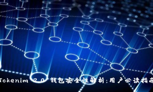 Tokenim 2.0 钱包安全性解析：用户必读指南