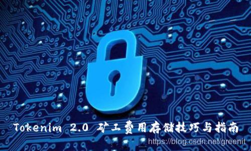 Tokenim 2.0 矿工费用存储技巧与指南