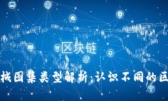 区块链机械图集类型解析：认识不同的区块链图