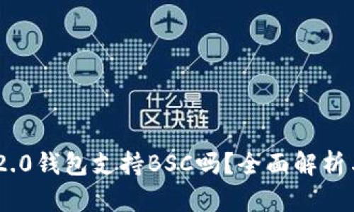 Tokenim 2.0钱包支持BSC吗？全面解析与使用指南