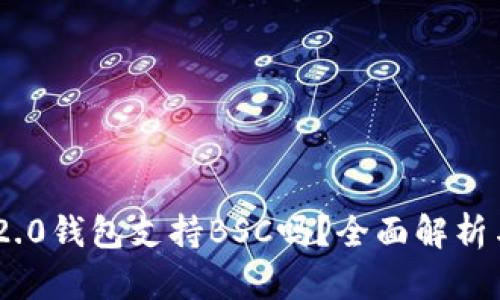 Tokenim 2.0钱包支持BSC吗？全面解析与使用指南
