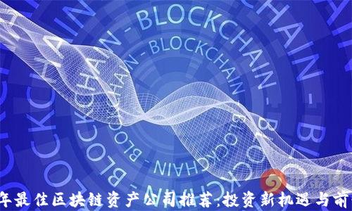 
2023年最佳区块链资产公司推荐：投资新机遇与前景分析