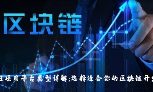 区块链项目平台类型详解：选择适合你的区块链开发路径
