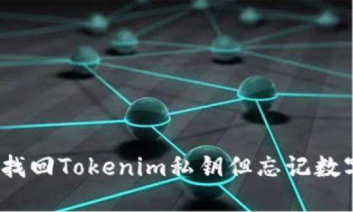bianoti如何找回Tokenim私钥但忘记数字密码的方法