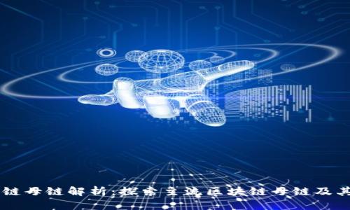 区块链母链解析：探索主流区块链母链及其应用