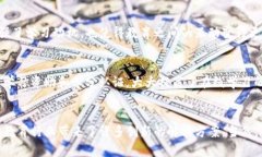 区块链教育管理公司概览近年来，区块链技术的