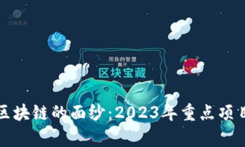 揭开杭州区块链的面纱：2023年重点项目全景分析