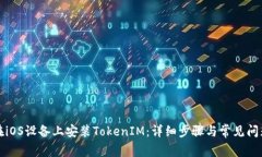 如何在iOS设备上安装TokenIM：详细步骤与常见问题