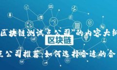 以下是关于＂区块链测试点公司＂的内容大纲和
