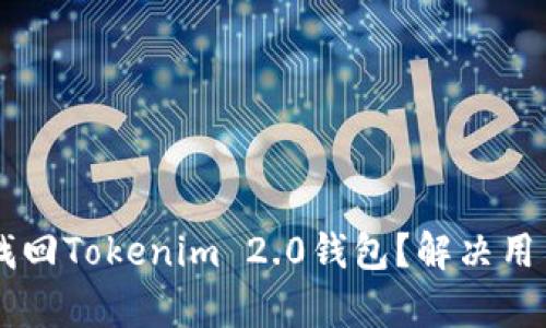 手机丢失后如何找回Tokenim 2.0钱包？解决用户痛点的实用指南