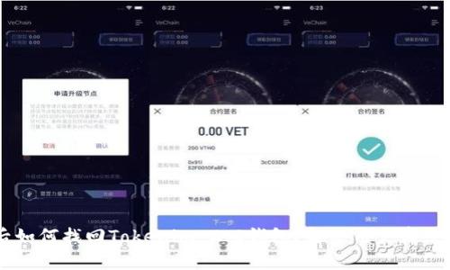 手机丢失后如何找回Tokenim 2.0钱包？解决用户痛点的实用指南
