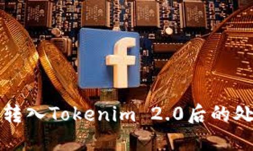 狗狗币转入Tokenim 2.0后的处理攻略