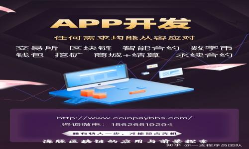 海豚区块链的应用与前景探索