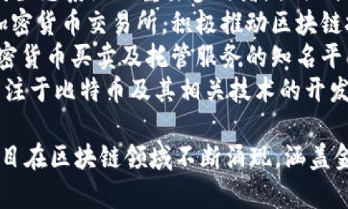 以下是一些在区块链领域具有影响力的公司名称（截至2023年）：

1. **比特币 (Bitcoin)** - 作为首个去中心化的数字货币和区块链网络。
2. **以太坊 (Ethereum)** - 提供智能合约功能的平台，支持去中心化应用（dApps）。
3. **Ripple** - 专注于跨境支付解决方案的公司，以其RippleNet网络闻名。
4. **Chainlink** - 提供去中心化预言机服务，连接智能合约与现实世界数据。
5. **Cardano** - 采用证明权益机制，注重安全性和可扩展性的区块链平台。
6. **Polkadot** - 允许不同区块链之间互通的多链网络平台。
7. **Consensys** - 以太坊生态系统的重要参与者，提供开发工具和企业解决方案。
8. **Binance** - 领先的加密货币交易所，积极推动区块链技术发展。
9. **Coinbase** - 提供加密货币买卖及托管服务的知名平台。
10. **Blockstream** - 专注于比特币及其相关技术的开发和创新。

此外，还有许多初创公司和项目在区块链领域不断涌现，涵盖金融、供应链、游戏等多个行业。