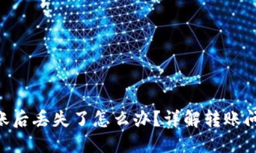 Tokenim转账后丢失了怎么办？详解转账问题解决方案