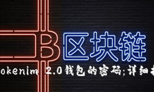 如何找回Tokenim 2.0钱包的密码：详细指南和技巧