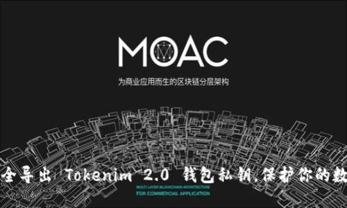 如何安全导出 Tokenim 2.0 钱包私钥，保护你的数字资产