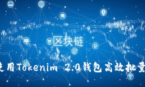 如何使用Tokenim 2.0钱包高效批量转账？
