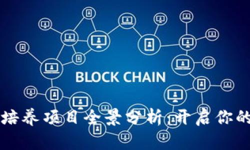 区块链人才培养项目全景分析：开启你的职业新征程