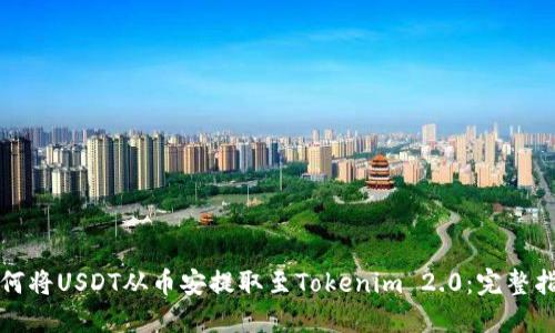 如何将USDT从币安提取至Tokenim 2.0：完整指南