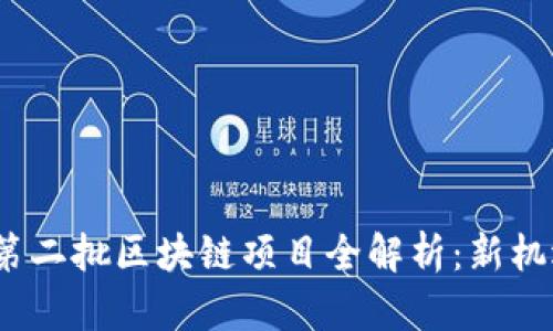 2023年第二批区块链项目全解析：新机遇与挑战